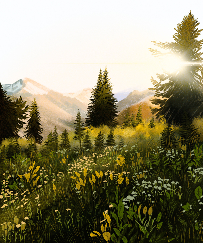 Пейзаж. Начало осени 