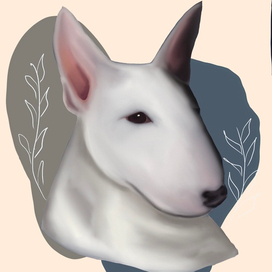 Bull Terrier