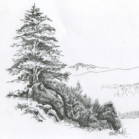 Иллюстрация к сайту и фирменному стилю