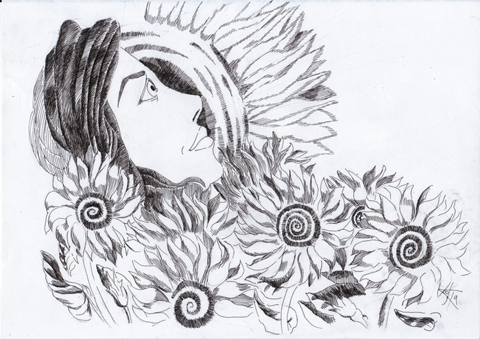 Подсолнухи