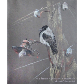 Из серии "Жизнь в заброшенной деревне"