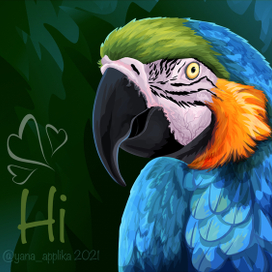 Попугай Ара. Портрет
