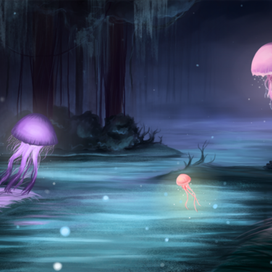 В лесу медуз