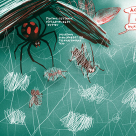 Логово Каракурта