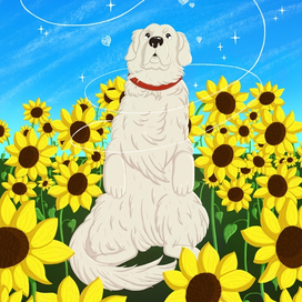 Лекарство от печали