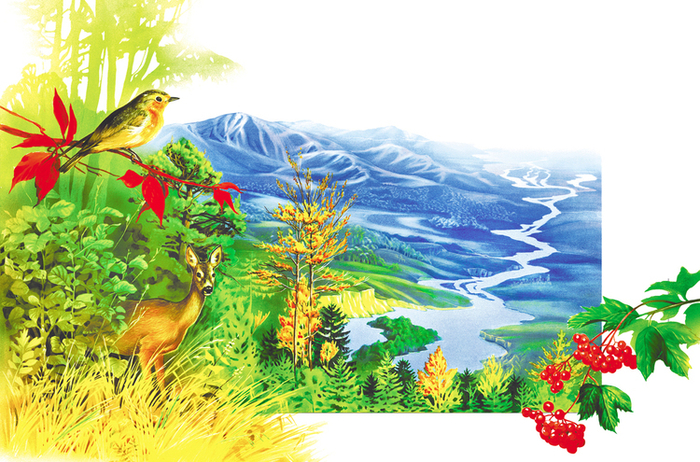  детская энциклопедия