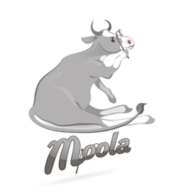 Корова в пенсне