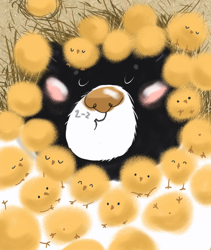 Цыплятки спят