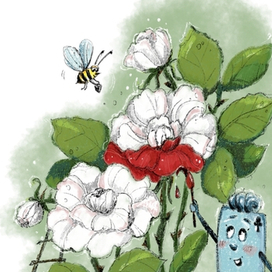 Перекрасим