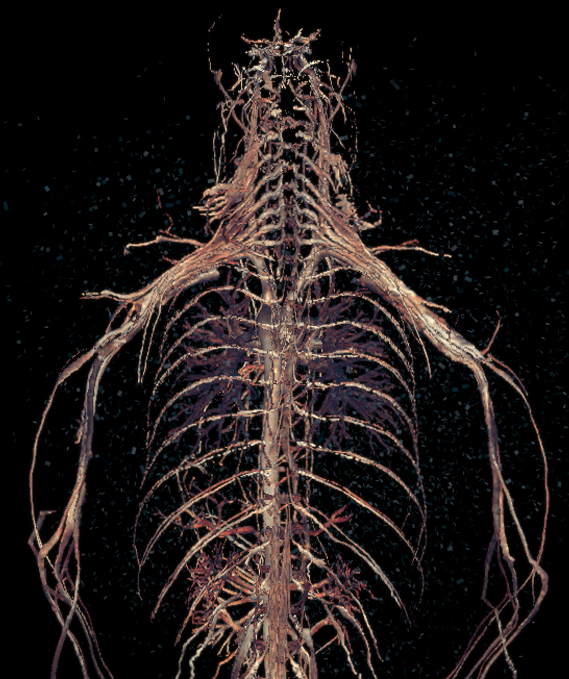 мужчина / этюд /