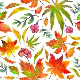 паттерн,листья,рябина