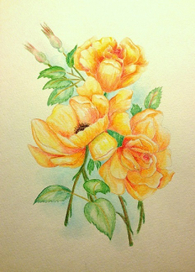 Желтые розы