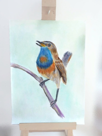 Варакушка-Шведский соловей.