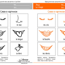 Французские слова в картинках