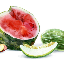 Арбузы и дыни