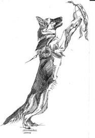 маленький шаман