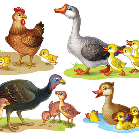 Домашние животные. изд Аверсэв