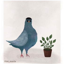 Bird illustrations 