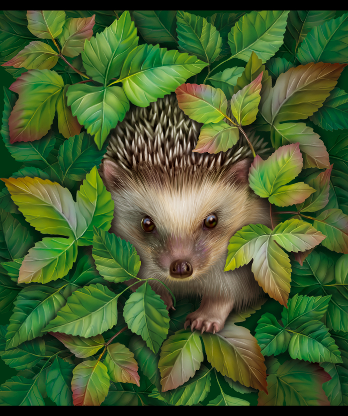 Суровый ёжик