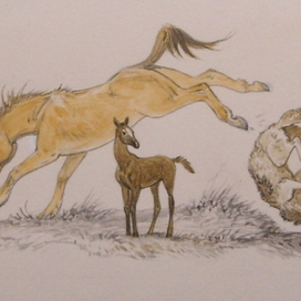 Из сборника Сказки и басни Л. Толстого