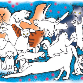 Открытка на год кота