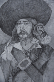 the pirate and the monkey