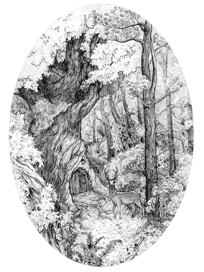 Волшебный лес