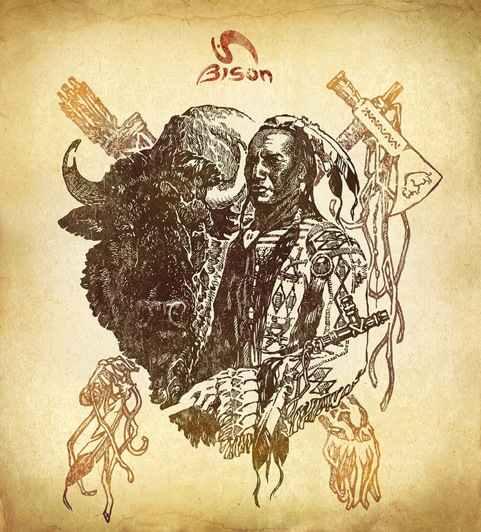 Последний бизон