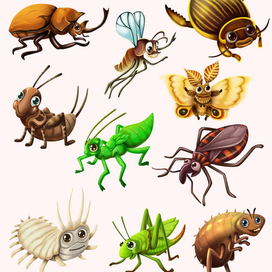 Насекомые 2