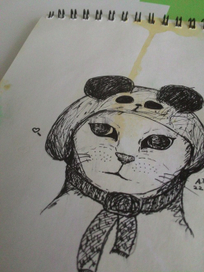 котик в шапке