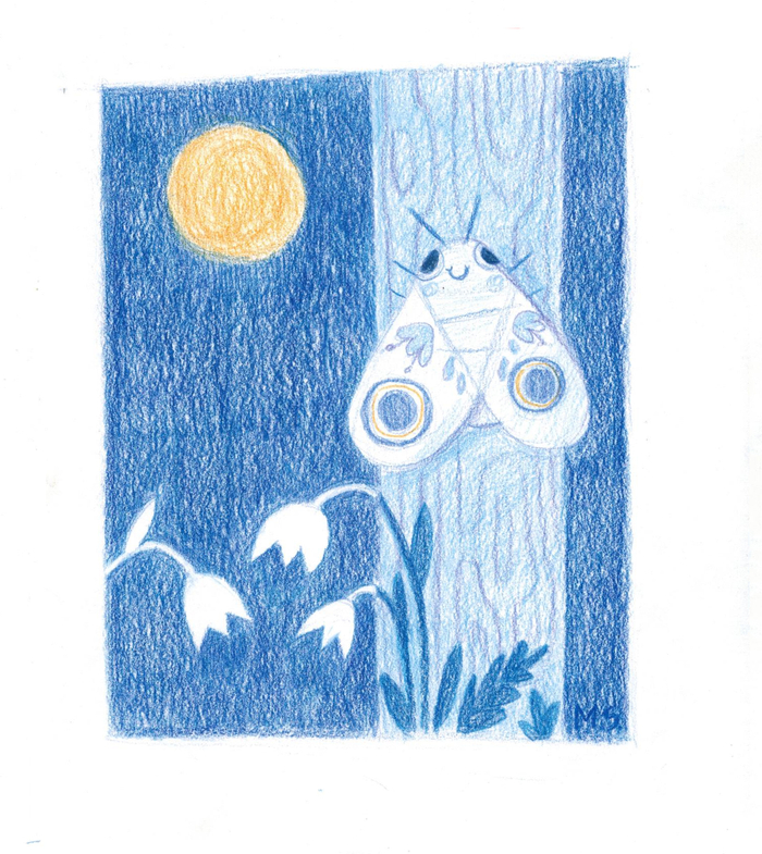 Ночь,луна и мотылек