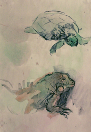 из серии "зоопарк"