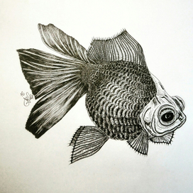 Золотя рыбка