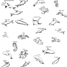 Морские обитатели