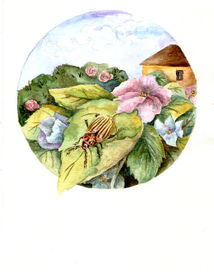 Воспоминания о лете