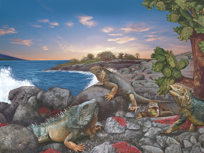 Галапагосы