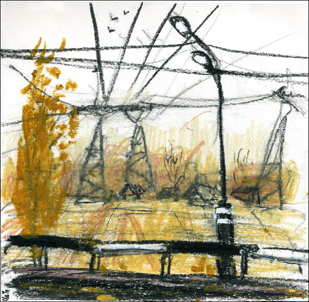 родные просторы