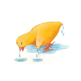 Иллюстрации к сказке "Утёнок и цыплёнок"