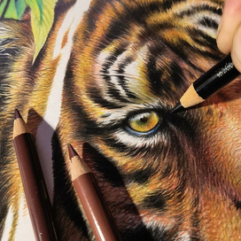 Рабочий процесс