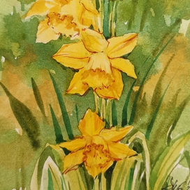 Серия "Цветы"