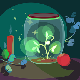 Магический вечер