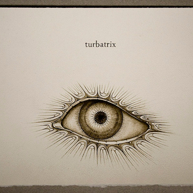 SUBINTRA turbatrix