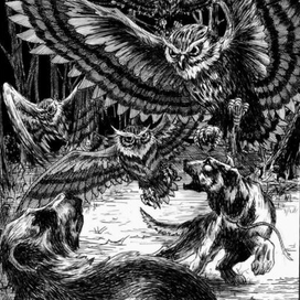 Нападение сов