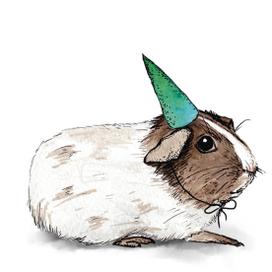 Морская свинка