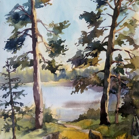 Сосны у пруда