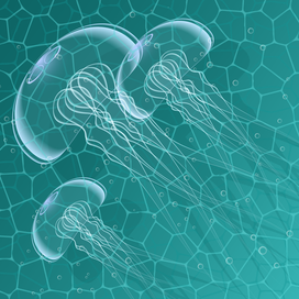 медузы на мелководье