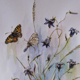 Колокольчики