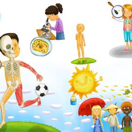 скелет и мышцы