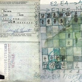 Венская партия