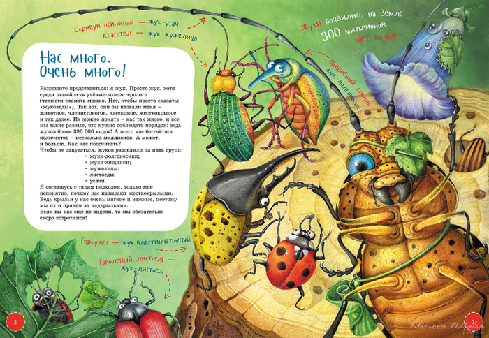 Иллюстрация к книге " Я-Жук"